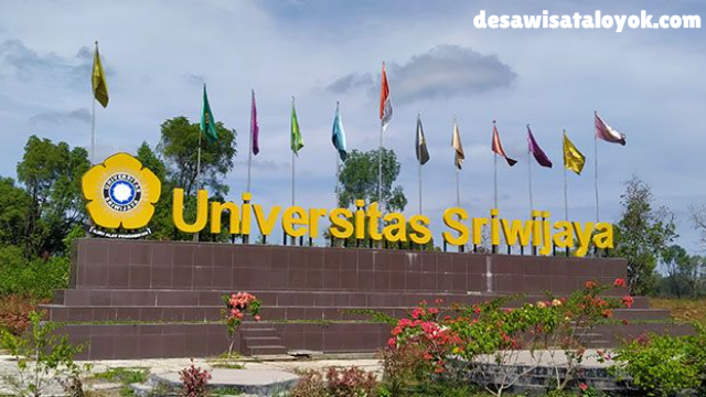 Universitas Negeri di Palembang