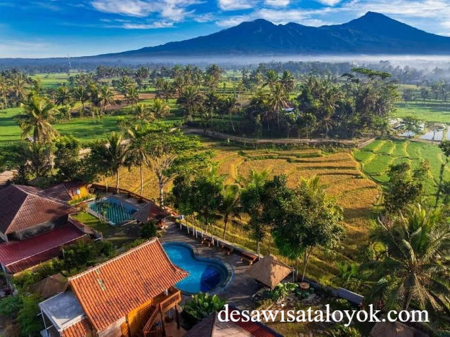 Destinasi Wisata Loyok, Desa Anyaman Bambu di Lombok Timur